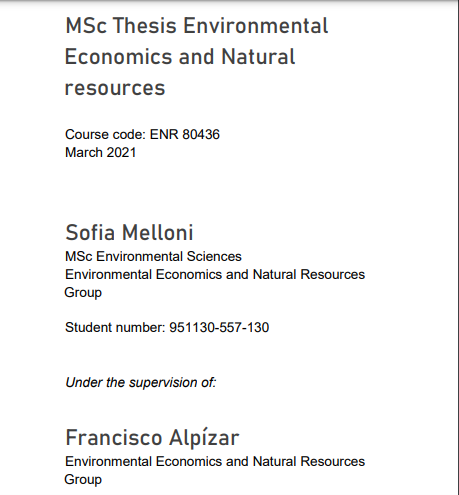 Economics Dissertation Examples